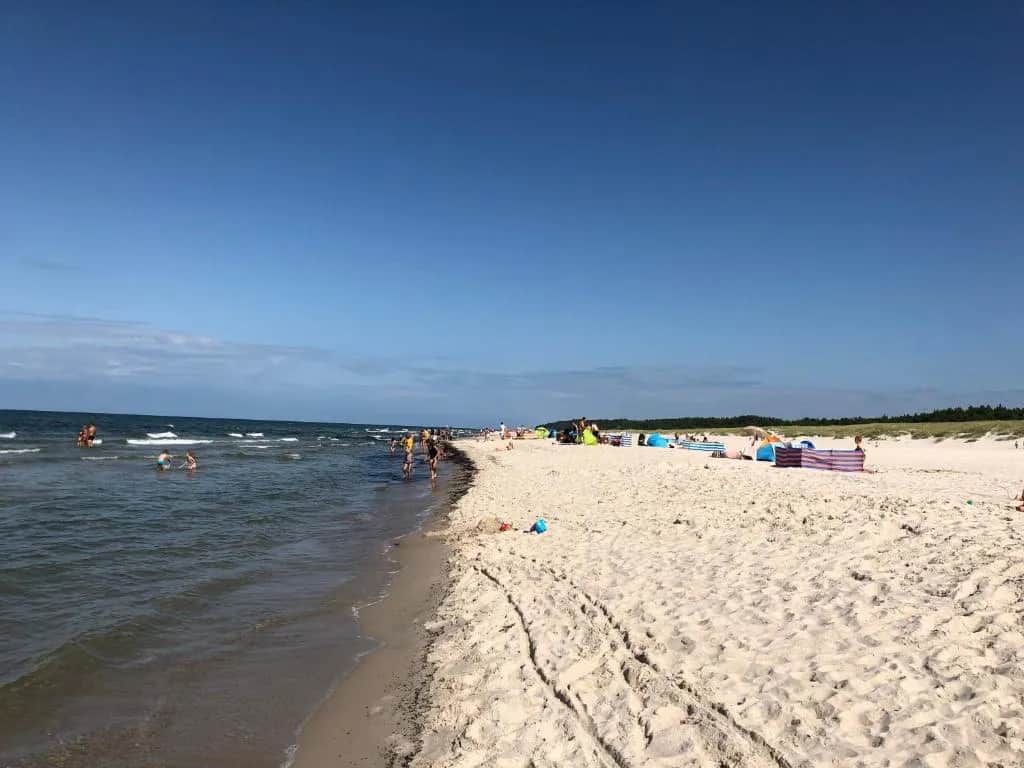 5 scen z "Dzikiej plaży", które na zawsze zrewolucjonizowały kino