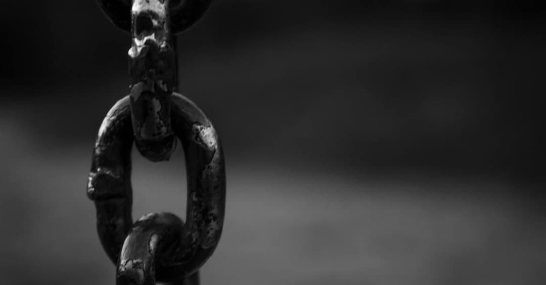 Zobacz, skąd się wzięła w USA niechęć do czarnoskórych - recenzja filmu na Netflix