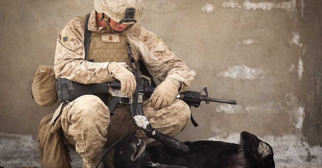 Najlepsze Filmy i Seriale o Wojsku, Bitwach i Żołnierzach - Top 10