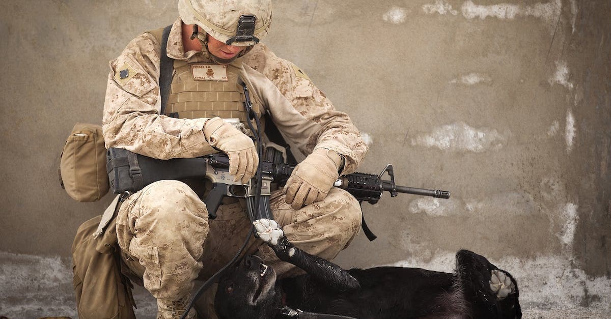 Najlepsze Filmy i Seriale o Wojsku, Bitwach i Żołnierzach - Top 10