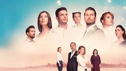 "Miłość" na VOD: Gdzie obejrzeć ten kultowy serial?