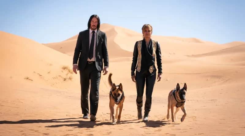 Rola psów w John Wick 3: od wiernych przyjaciół do zabójców