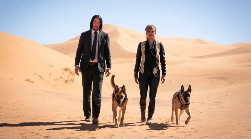 Rola psów w John Wick 3: od wiernych przyjaciół do zabójców
