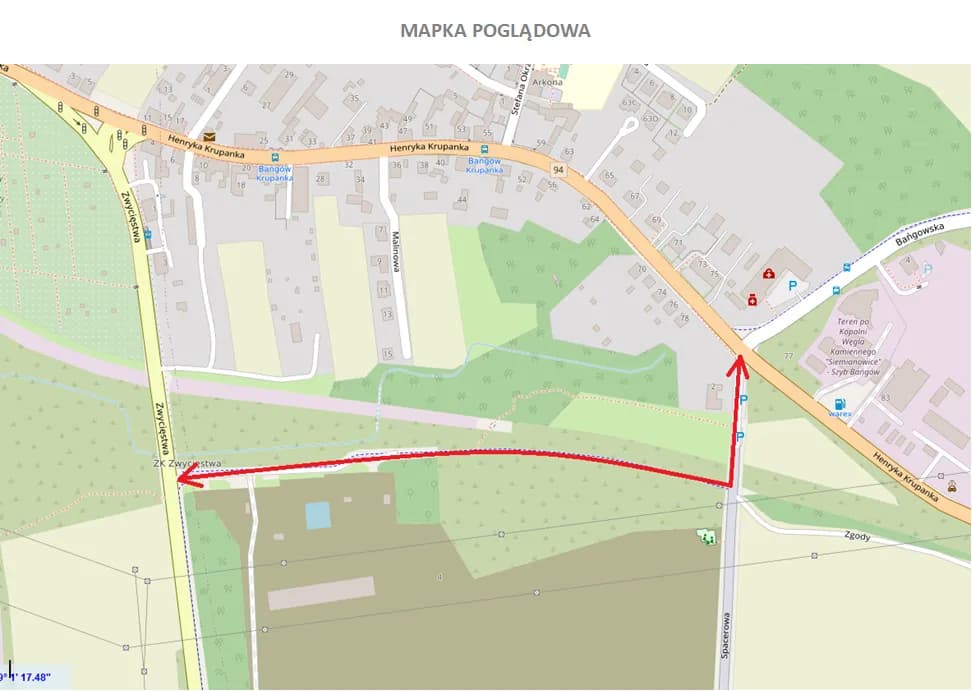 Gdzie mieszka Palion? Zaskakujące szczegóły o jego życiu w Siemianowicach